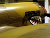 USAAF the Curtiss P-40 Fighter  Kittyhawk, Warhawk and Tomahawk