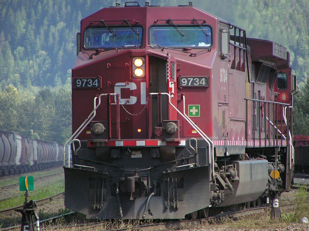 Canadian Pacific Railway Trains and Wagons. These Locomotives pull freight, lumber and passenger coaches across Canada from the Pacific to the Atlantic They are just like the ones you can drive with Microsoft train simulator