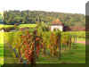 Click here to see the wine vinyard wallpaper